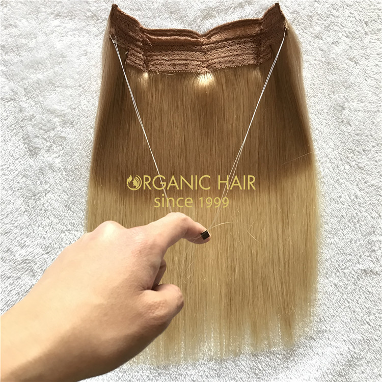 Human full cuticle halo hair rooted color X204